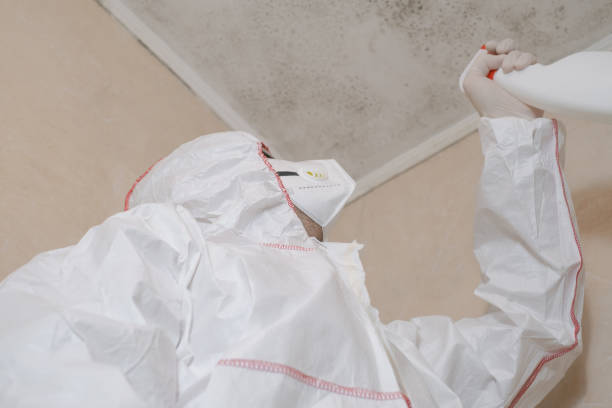 Best Attic Mold Removal  in Pickens, MS